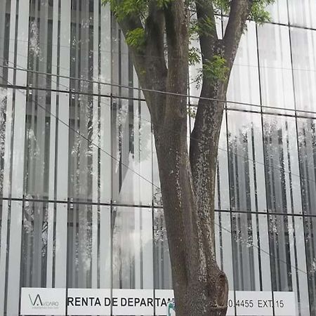Polanco T40 Lägenhet Mexico City Exteriör bild